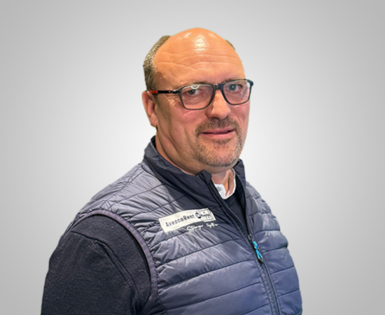 Streit Werner