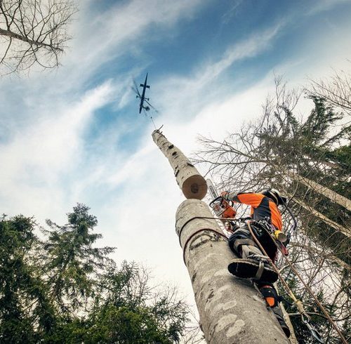 Tronçonneuse a bois STIHL MS 461 taille aérienne
