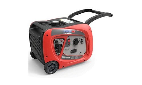Génératrice Endress 30001